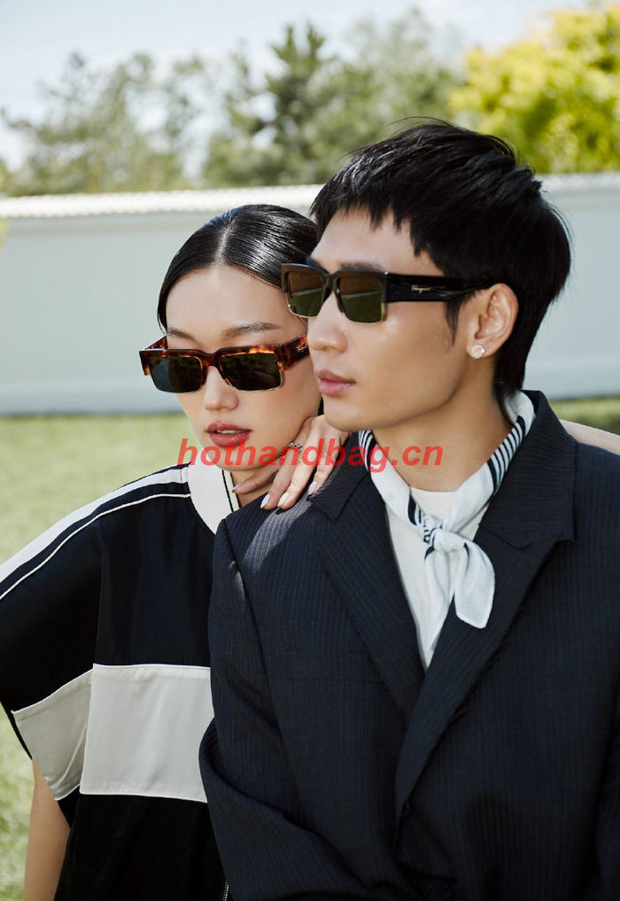 Salvatore Ferragamo Sunglasses Top Quality SFS00198